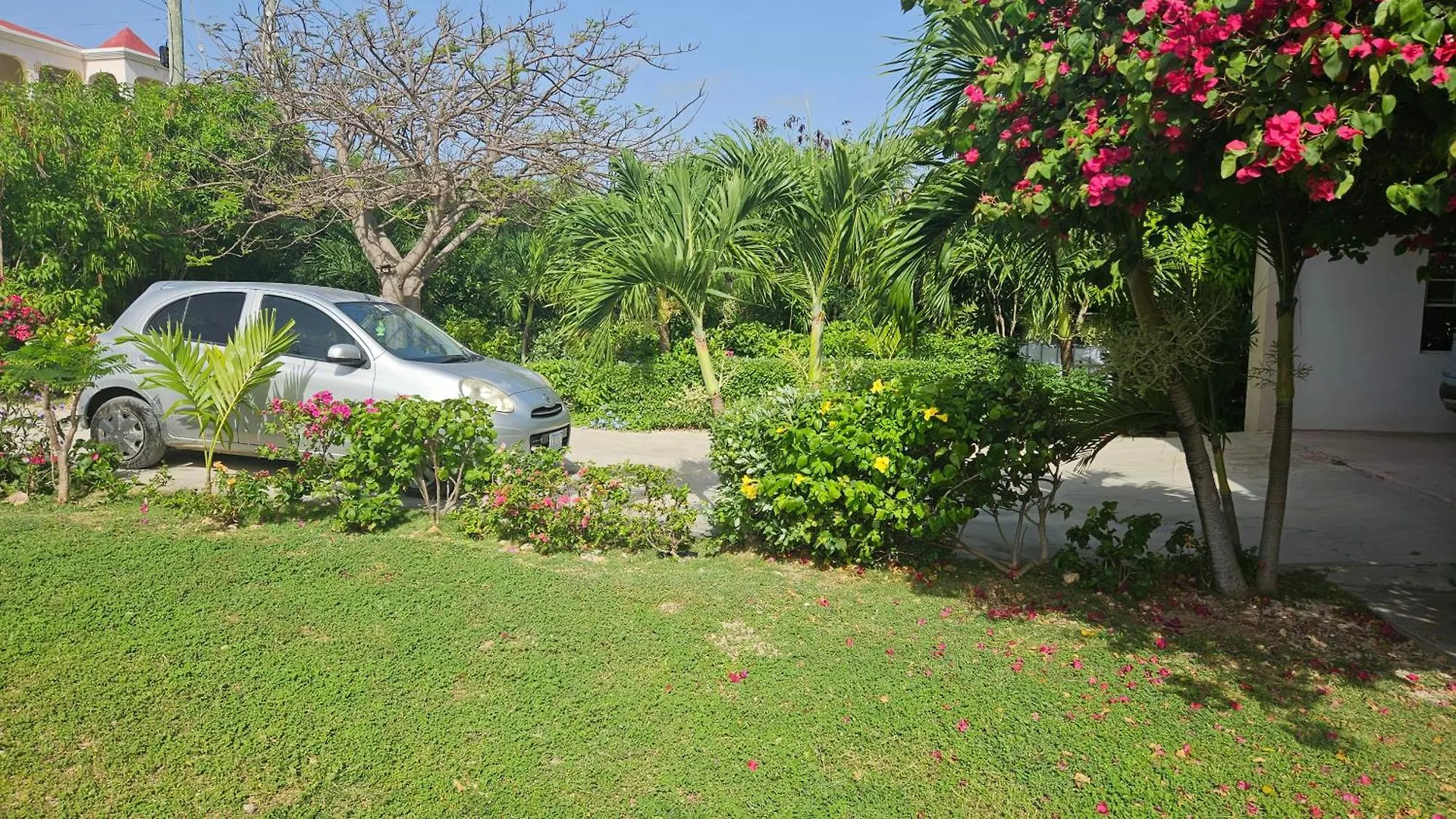 Thrush Nest View Studio Apartment The Valley Anguilla